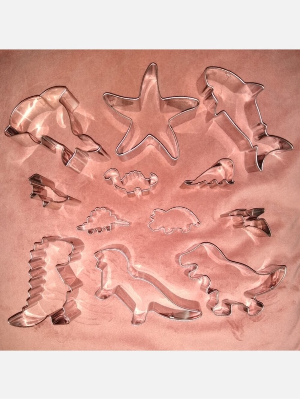 12pc Set Cookie Cutters Animal Shapes Dinosaurs Fish Sea Creatures Cookies Fruit